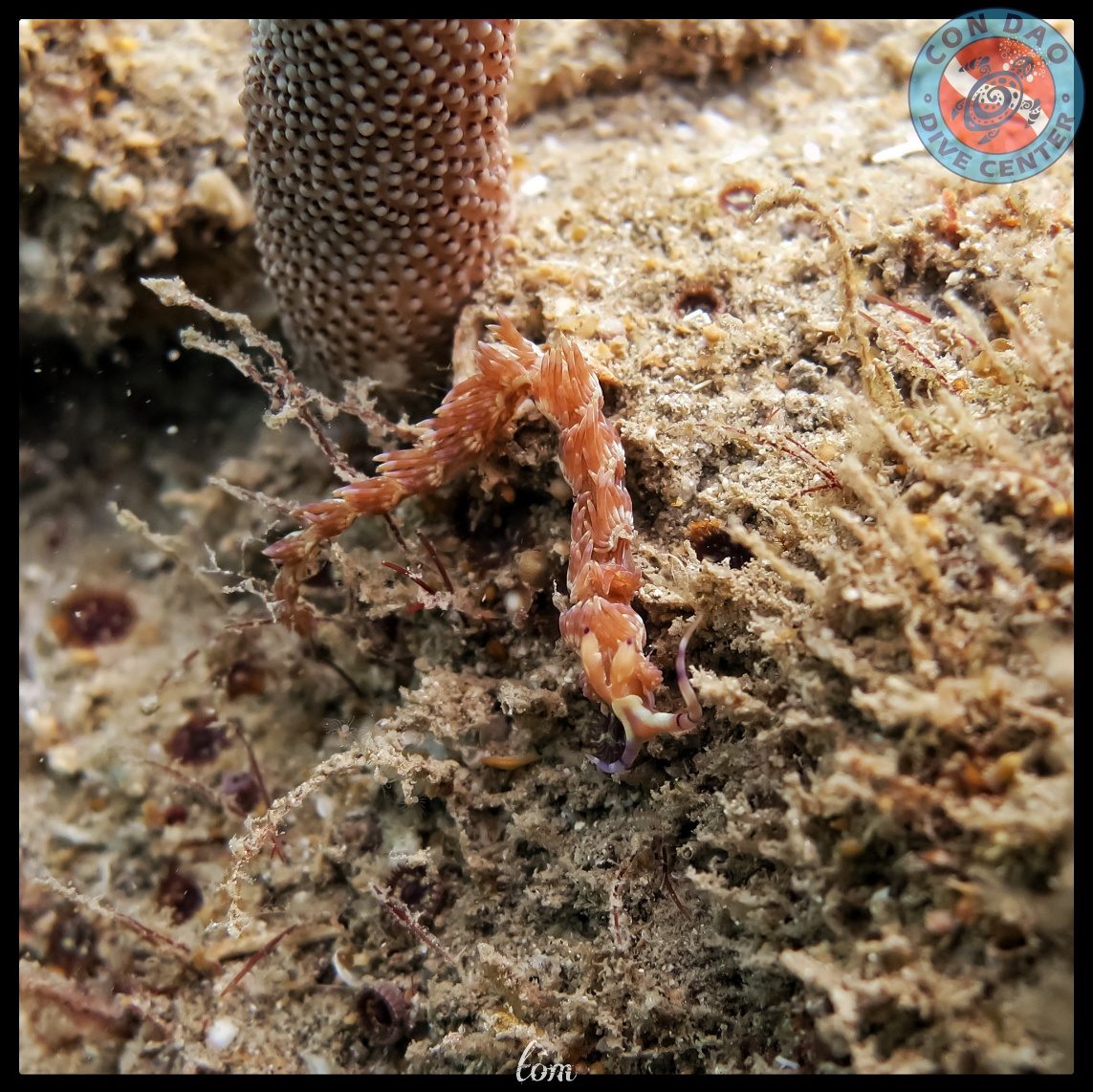 153718152_3958519020863828_9183069787746807125_o